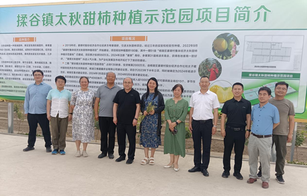 图片2_副本.png
