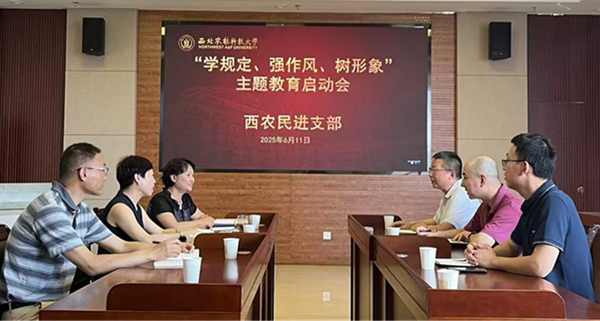 图片1_副本.png