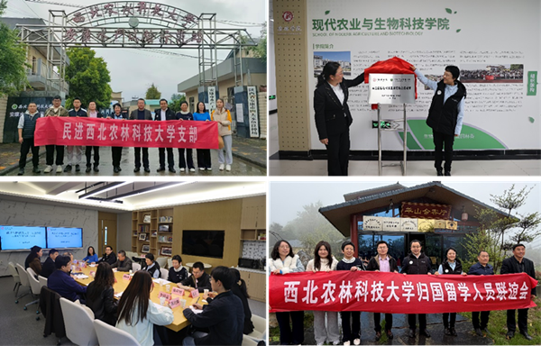 图片1(1)_副本.png