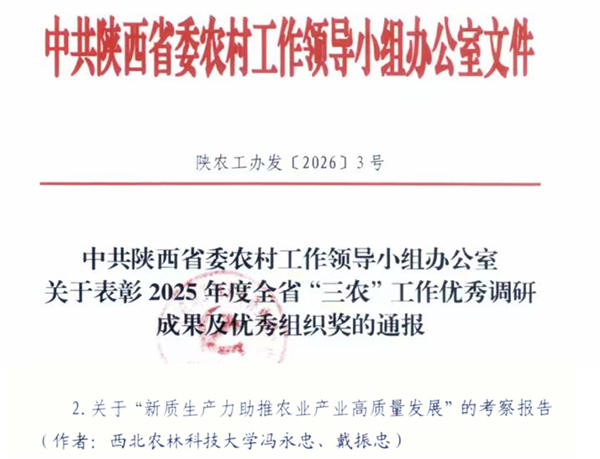 图片2_副本.png