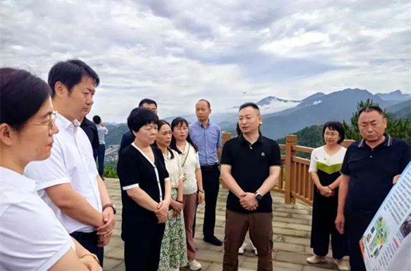 图片4_副本.png