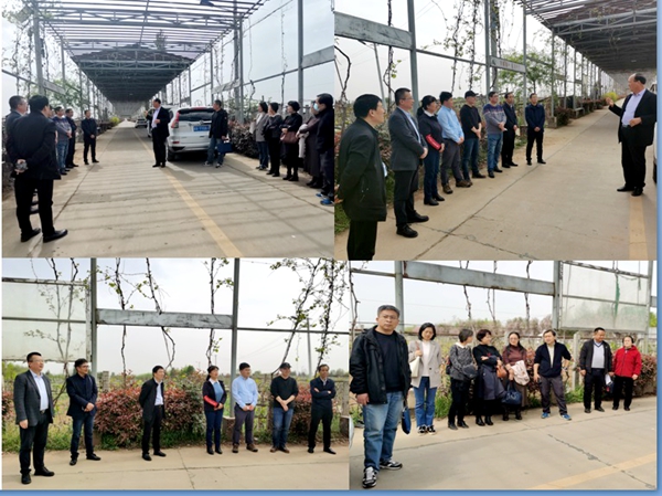考察新集镇葡萄产业园_副本.jpg
