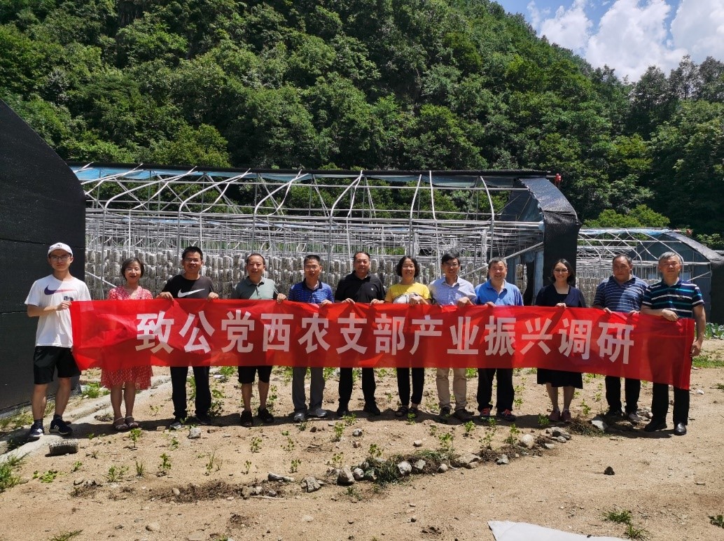 6290e5803af74497bad99e2bcd750332.jpg 6290e5803af74497bad99e2bcd750332.jpg