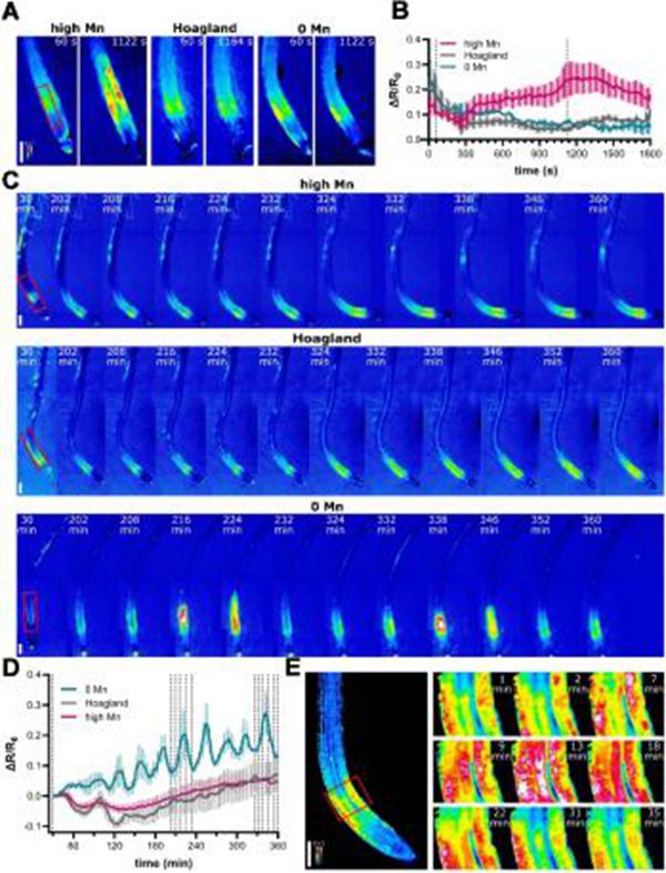 f4193e02952e41f8957a14d50e9cbe64.jpg 3_副本.jpg
