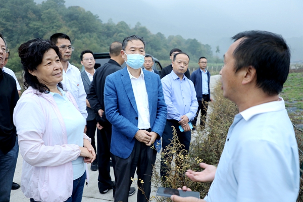李兴旺调研金银花种植基地_副本.jpg