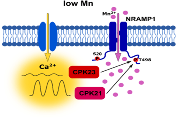 6ffa2b363d504f7c94de46453804762e.png 2_副本.png