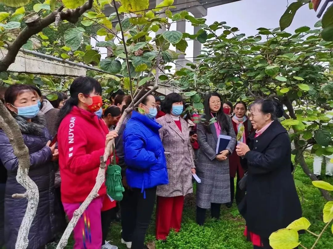 9d815cadd44c481d929c0ebe93f9c8b9.jpg 9d815cadd44c481d929c0ebe93f9c8b9.jpg