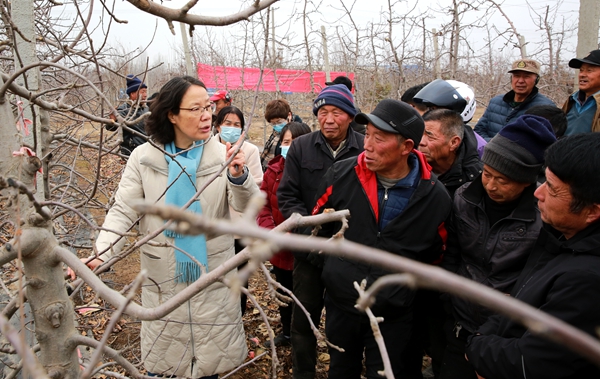 d3107ba21d344f8fbc2546bded3c5559.jpg 黄丽丽教授在给乾县阳峪镇果农讲授苹果树腐烂病等病害防治要点_副本.jpg